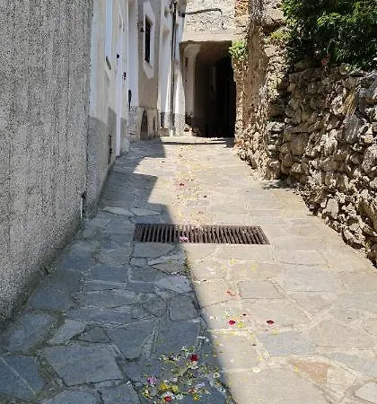 Casa 7